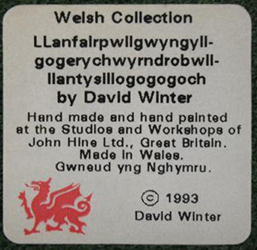 Little Bit of Nonsense (Llanfairpwllgwyngyllgogerychwyrndrobwllllantysiliogogogoch)