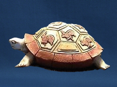 Swifty (the tortoise) Swifty (the tortoise)